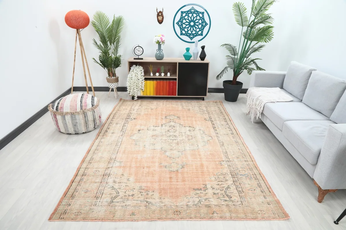Vintage orange Anatolian rug displayed in a living room setting with a sofa and plants