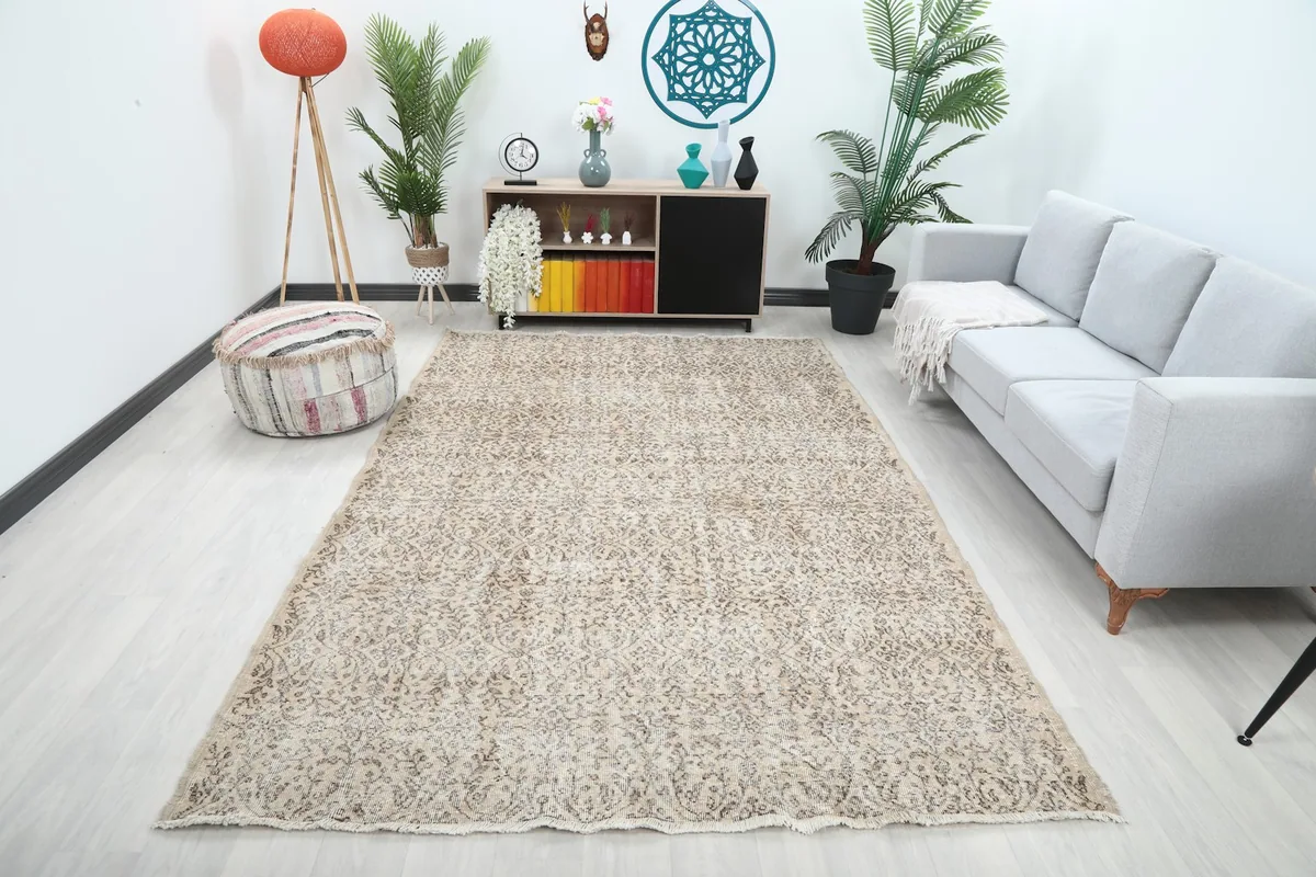 Vintage ivory and brown area rug styled in a modern living room setting with a light sofa and plants.